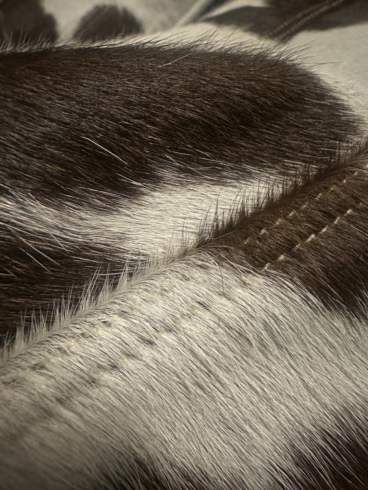 Cowhide Jacket